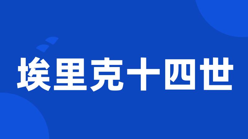 埃里克十四世