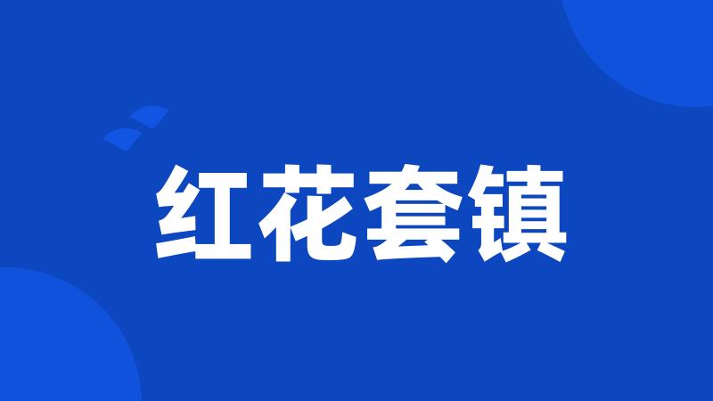 红花套镇