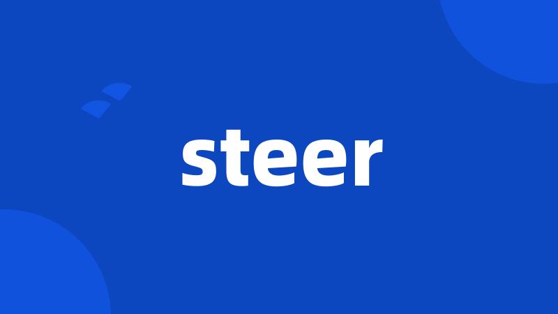 steer