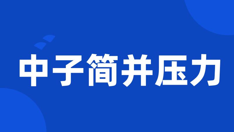 中子简并压力