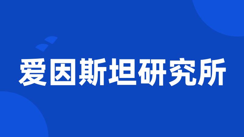 爱因斯坦研究所