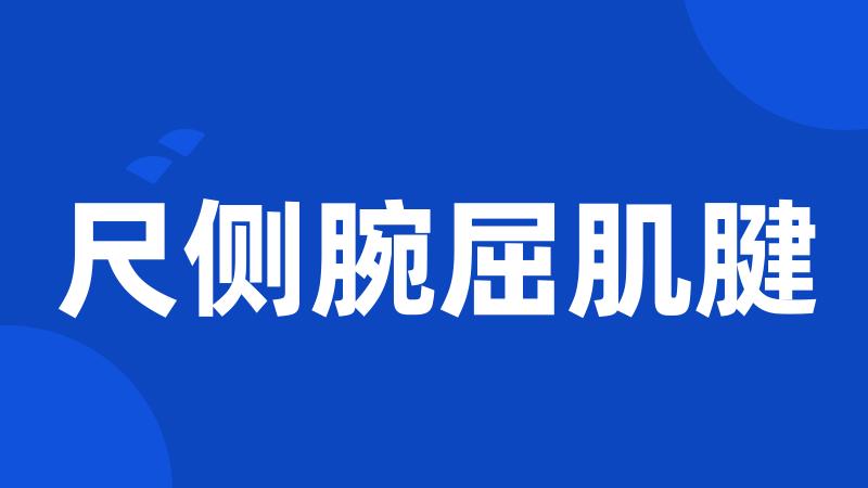 尺侧腕屈肌腱