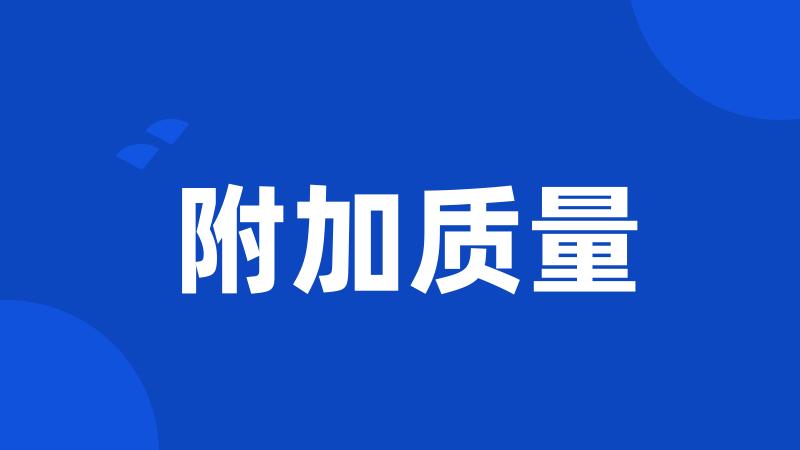 附加质量