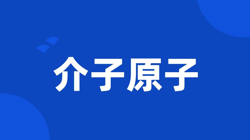 介子原子