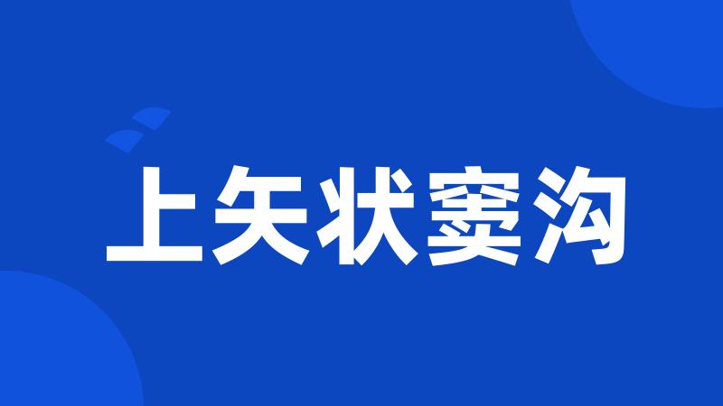上矢状窦沟