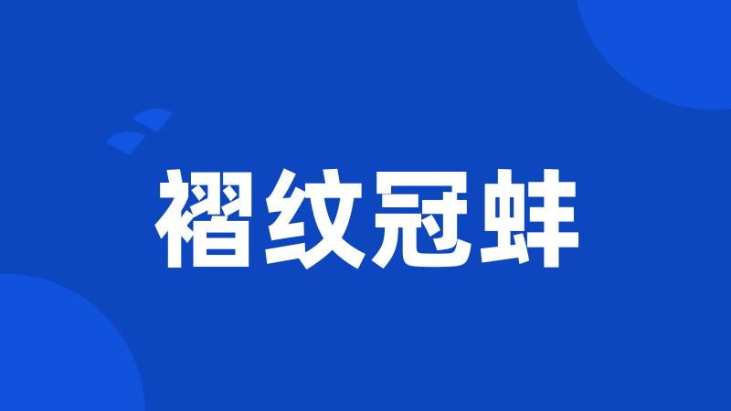 褶纹冠蚌