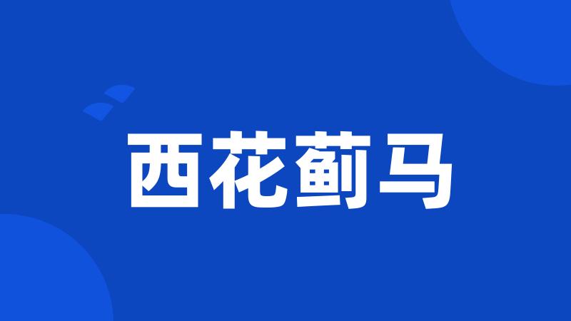 西花蓟马