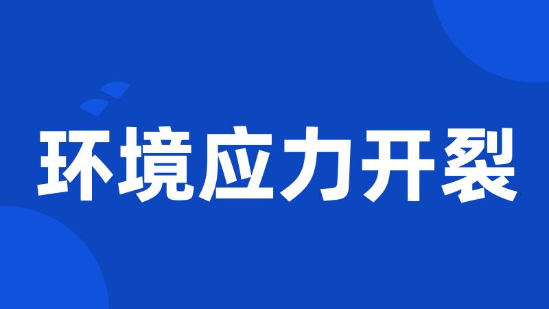 环境应力开裂