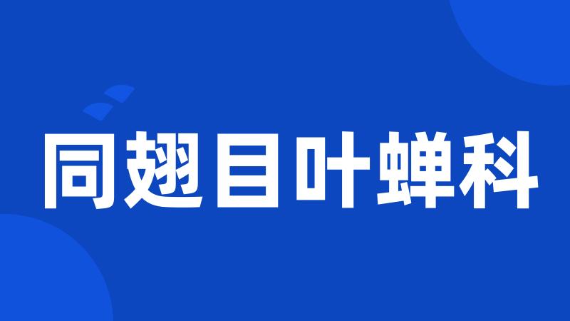 同翅目叶蝉科