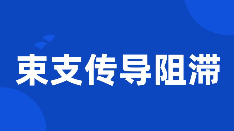 束支传导阻滞