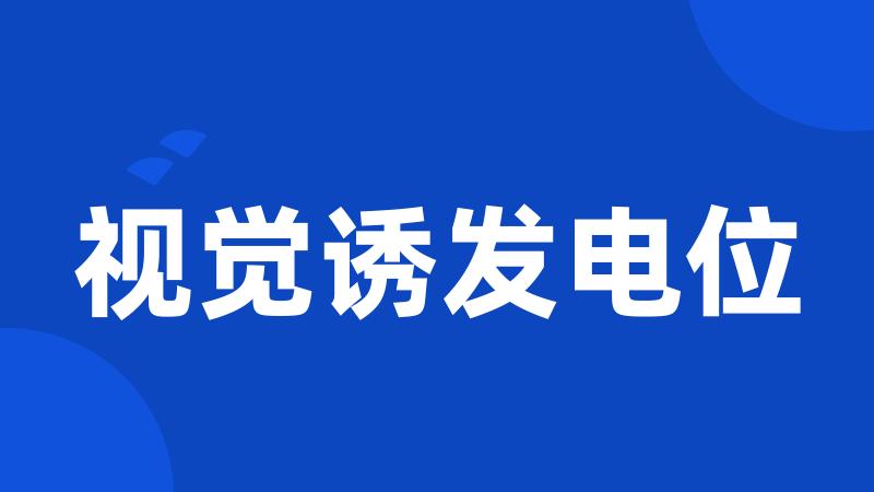 视觉诱发电位