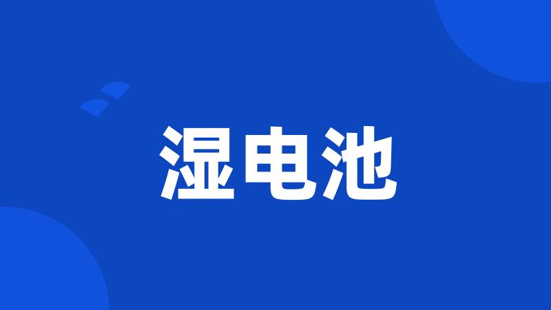 湿电池
