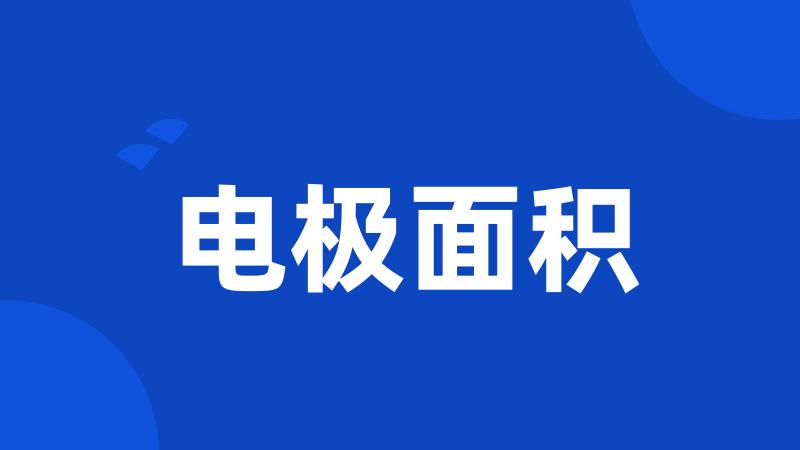 电极面积