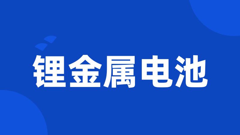 锂金属电池