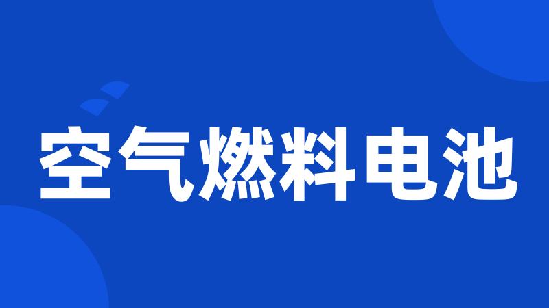 空气燃料电池