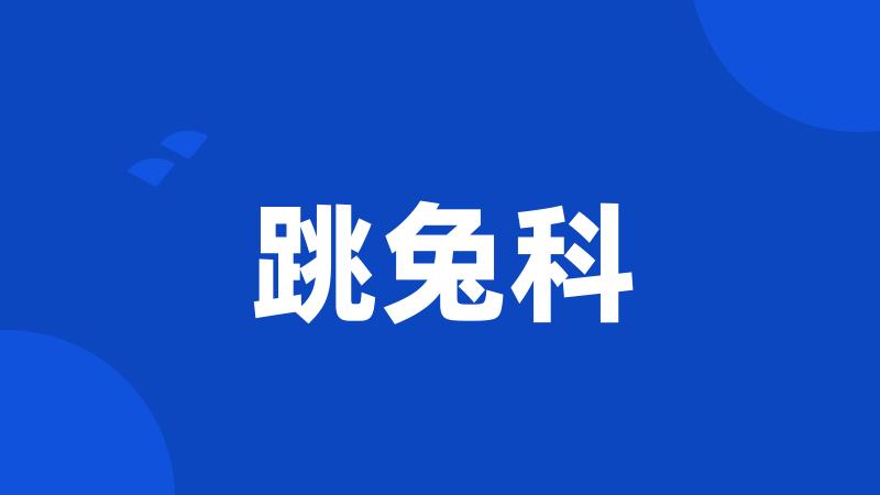 跳兔科