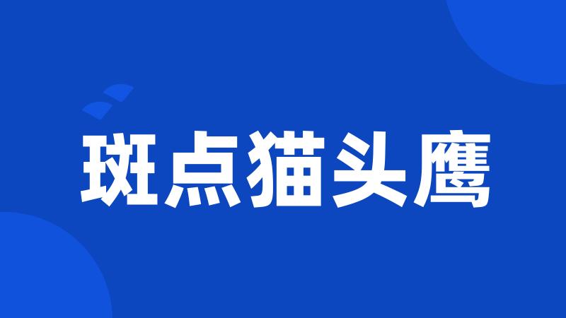 斑点猫头鹰