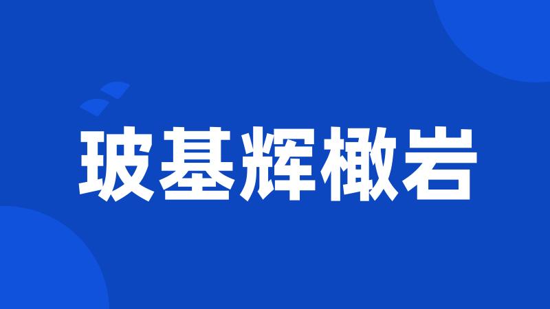 玻基辉橄岩