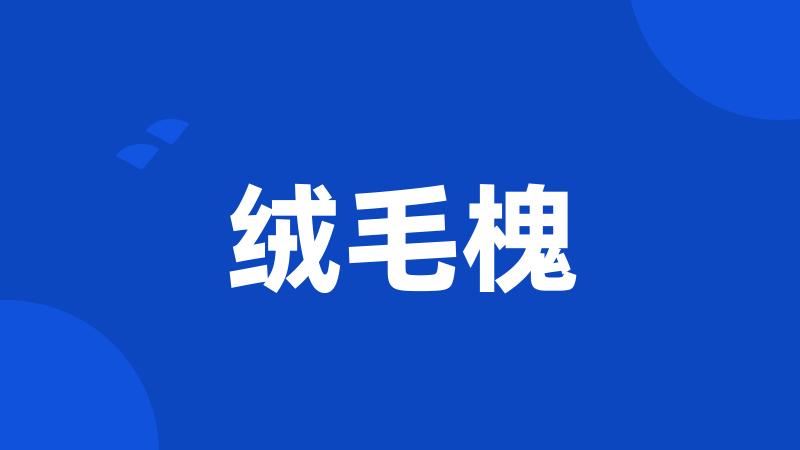 绒毛槐