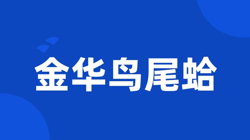 金华鸟尾蛤