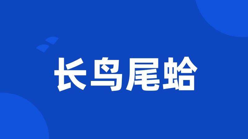 长鸟尾蛤
