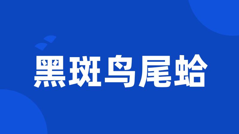 黑斑鸟尾蛤