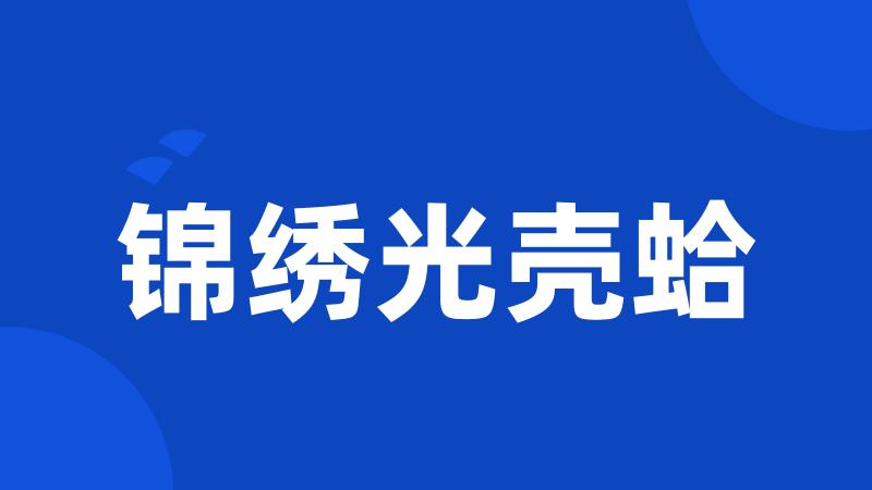 锦绣光壳蛤
