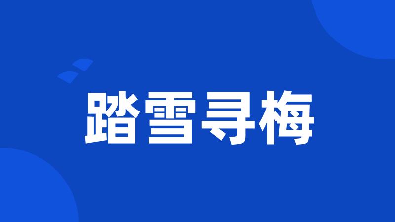 踏雪寻梅