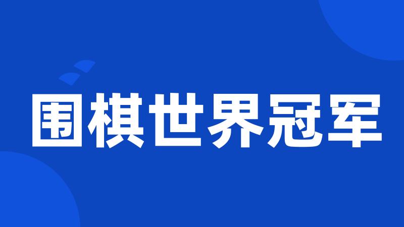 围棋世界冠军