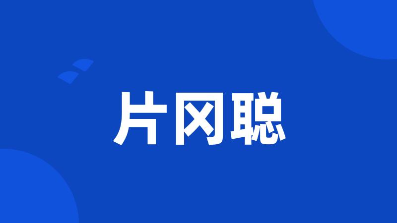 片冈聪