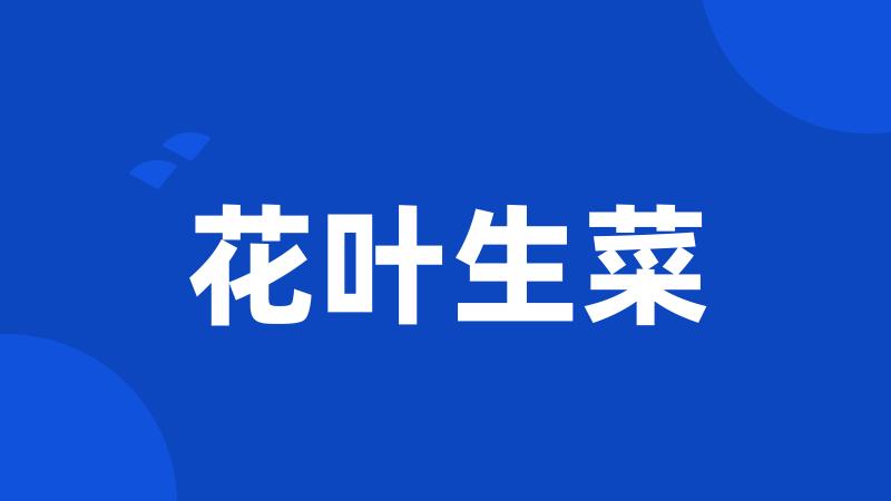 花叶生菜