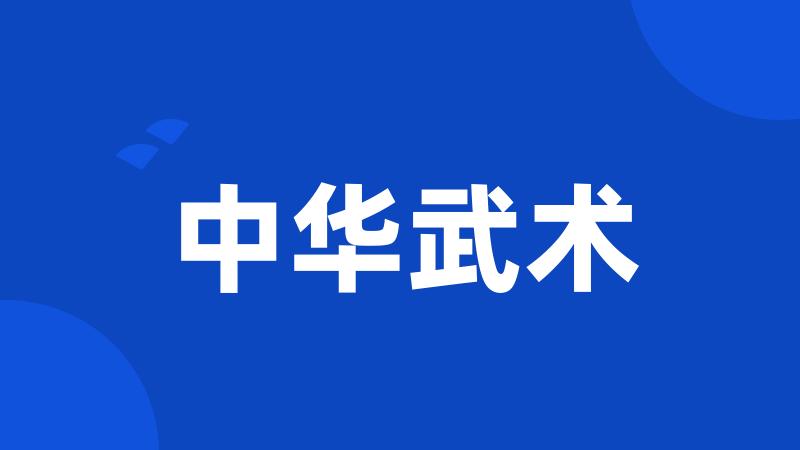 中华武术