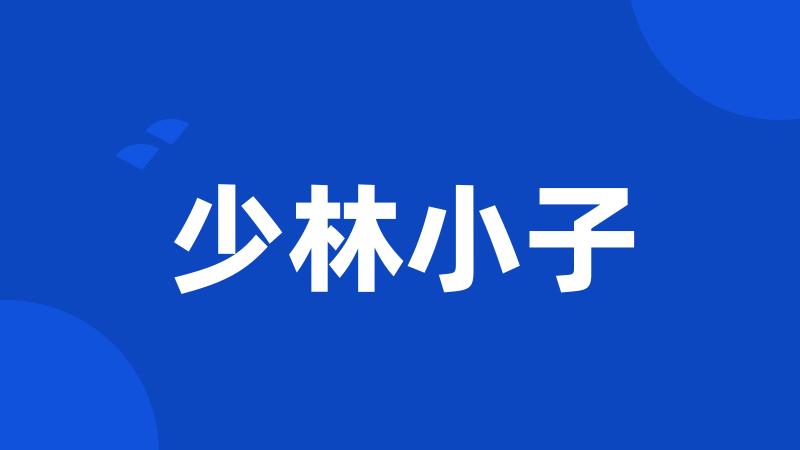 少林小子