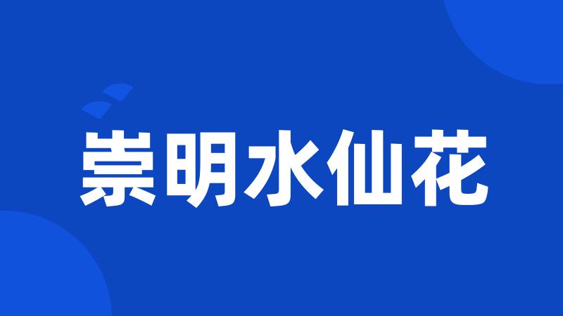 崇明水仙花
