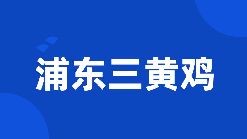 浦东三黄鸡