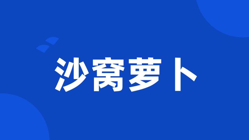 沙窝萝卜