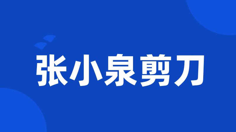 张小泉剪刀