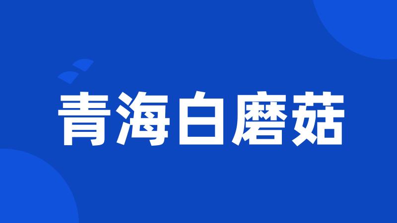 青海白磨菇