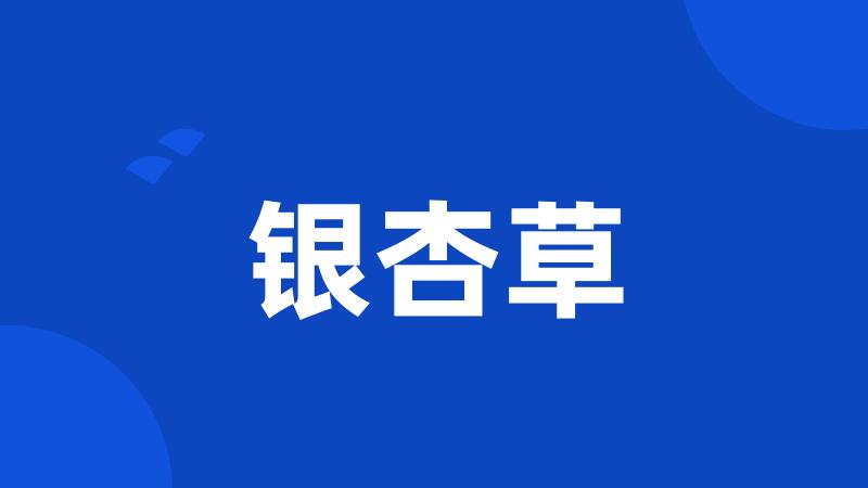 银杏草