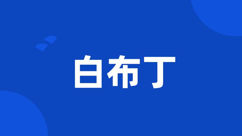 白布丁