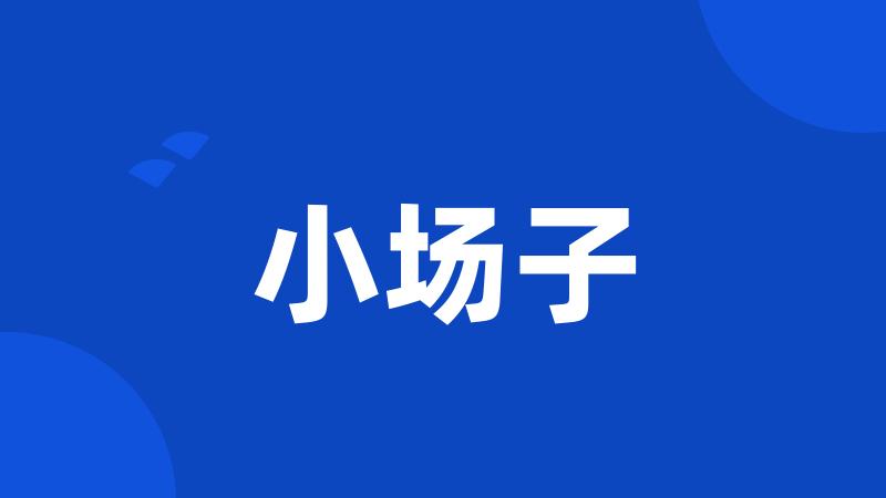 小场子