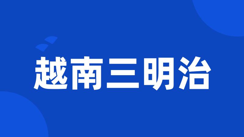 越南三明治