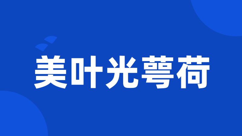美叶光萼荷