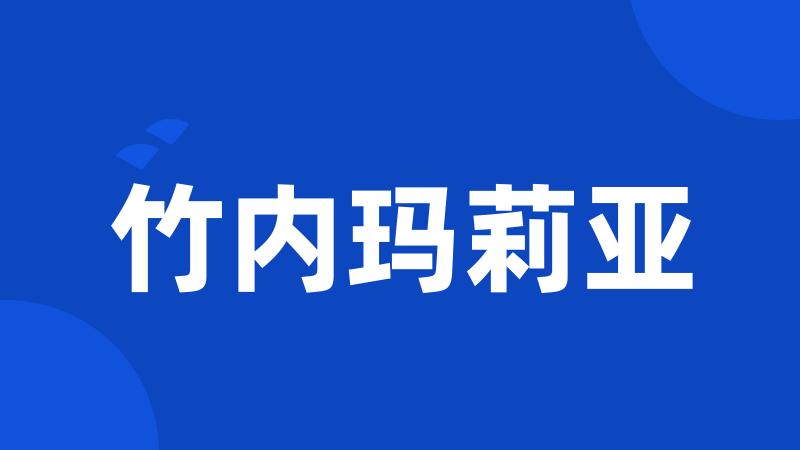 竹内玛莉亚