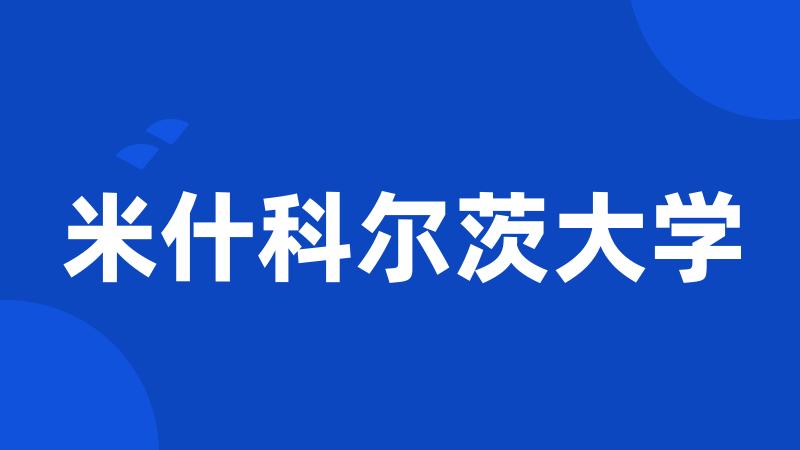 米什科尔茨大学
