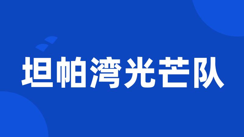 坦帕湾光芒队