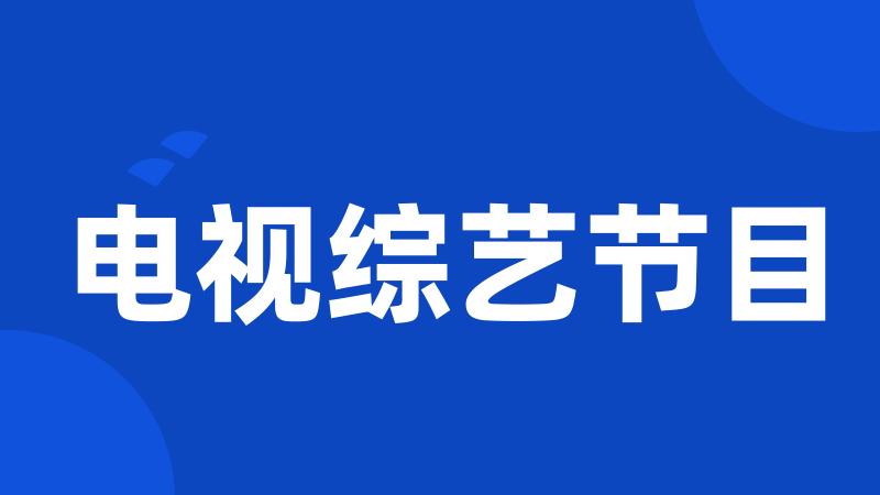 电视综艺节目