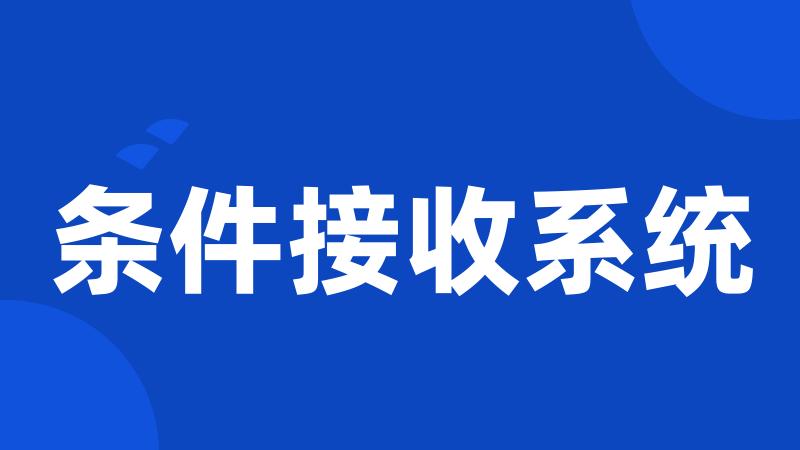 条件接收系统