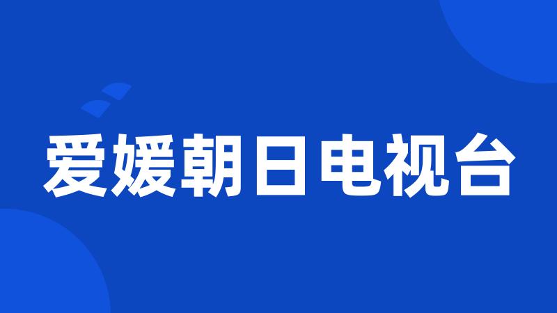 爱媛朝日电视台