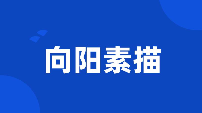 向阳素描